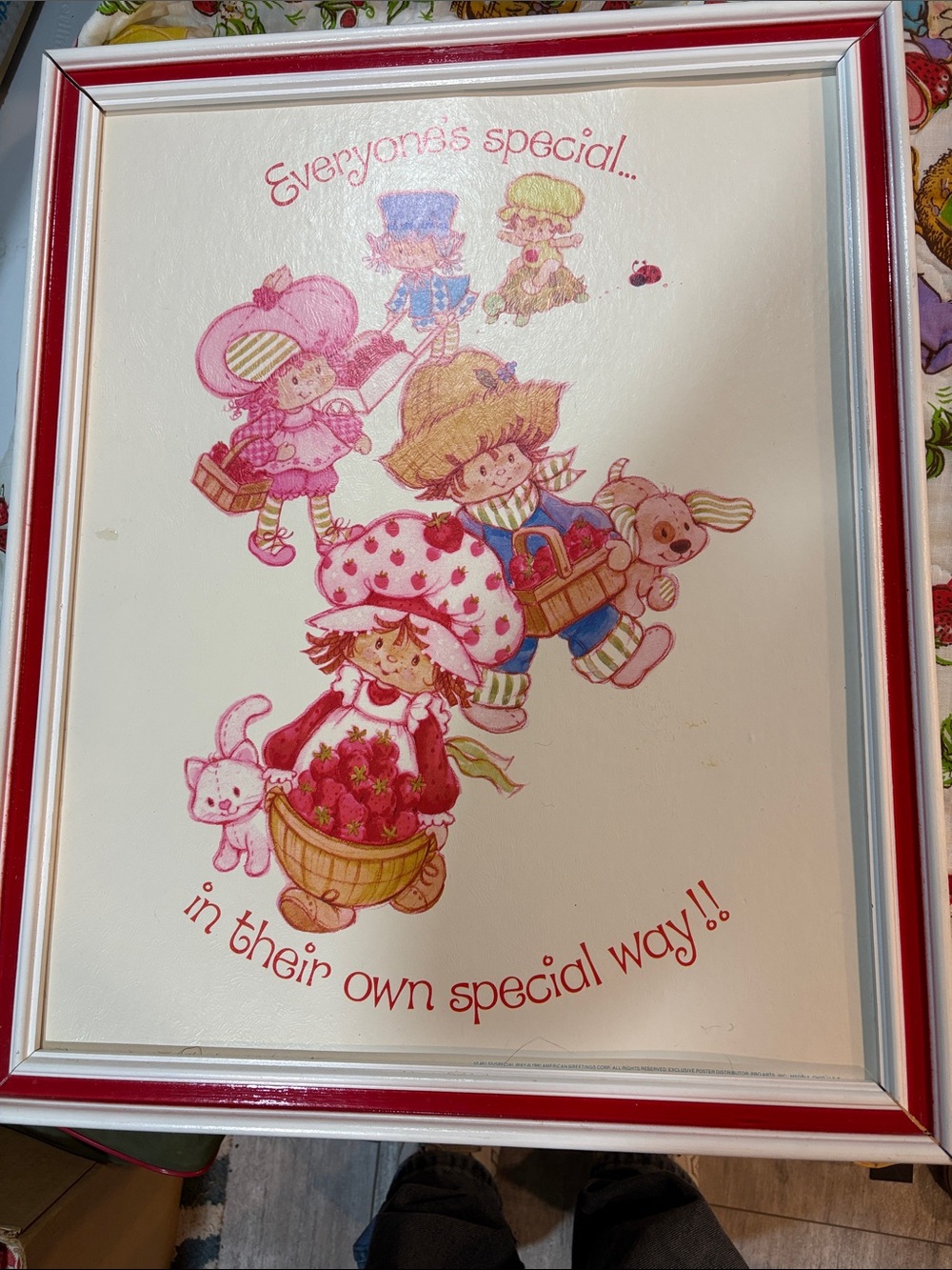 Vintage Strawberry Shortcake Framed Wall Art - Pink & Red